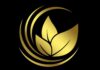 Exploring the Unique Offerings of Aron Groups Broker: A Paradigm Shift in Trading Aron Groups