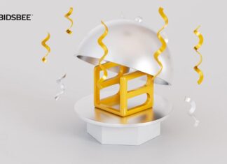 Bidsbee Platform Review