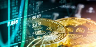 Bitcoin Trading Guide