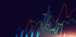 Bitwest Group Review