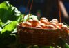 Building a Diversified Portfolio: Integrating Business Bank Accounts and Stock Investments (2025) Basket Full of Eggs. Concept for Building a Diversified Portfolio
