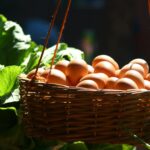 Basket Full of Eggs. Concept for Building a Diversified Portfolio