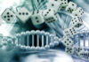 Casino DNA