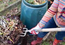 Composting Made Easy – Turning Yard Waste into Garden Gold
