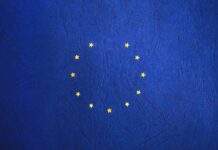 EU Trademark Search