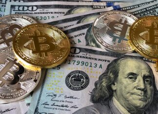 Economic Implications of Cryptocurrency
