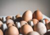 Choosing the Perfect Egg Washing Machine: A Comprehensive Guide Egg Washing