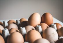 Choosing the Perfect Egg Washing Machine: A Comprehensive Guide Egg Washing