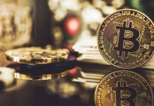How to Choose a Crypto Casino in the USA
