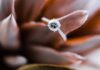 Unique Ways to Incorporate Moissanite into Your Bridal Look Incorporating Moissanite into Bridal Look