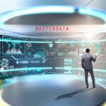 Master Data Management