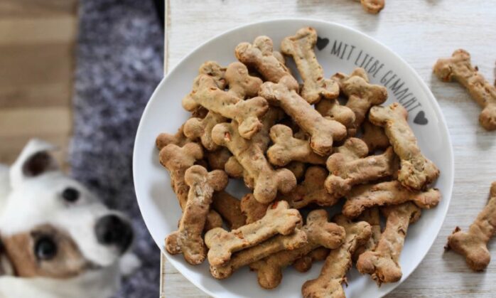Bowl with dog treats