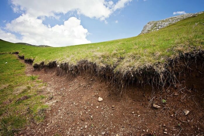 Prevent Soil Erosion