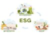 Rise of ESG