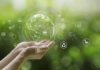 Sustainable development goal (SDGs) concept.Hands holding Global communication network with Environment icon on a green background.Green technology and Environmental technology.ESG