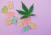 Demystifying THCa: Separating Fact from Fiction (2025)