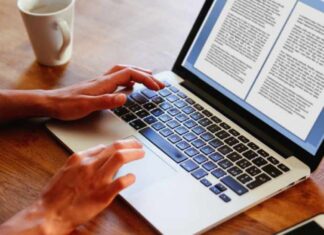 Essay Writers Online