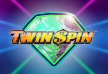 Twin Spin