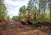 Unveiling the Hidden Benefits: 6 Reasons Land Clearing is Essential Unveiling the Hidden Benefits: 6 Reasons Land Clearing is Essential