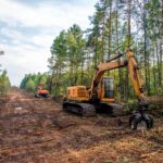 Unveiling the Hidden Benefits: 6 Reasons Land Clearing is Essential