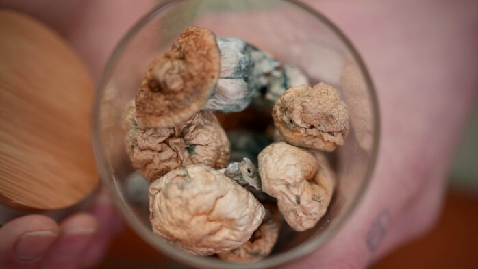 Psychedelic Mushrooms