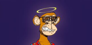 Voting in NFT Battles on Scroo-G