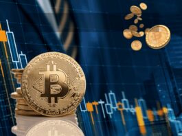 Year of Crypto Crash