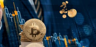 Year of Crypto Crash