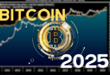 Bitcoin in 2025: Expert Predictions on Its Value, Adoption, and Technological Advancements bitcoin prediction 2025