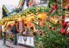 Dreaming of a DIY Disaster-Free Christmas in 2025