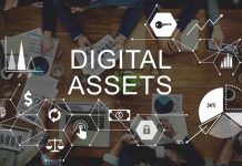 5 Tips for Improving Your Digital Asset Management – 2025 Guide