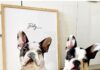 How To Create The Perfect DIY Pet Portrait At Home: Complete Beginner’s Guide